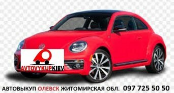 Выкуп автомобилей срочно и дорого в Олевске Житомирской области Автовыкуп Олевск